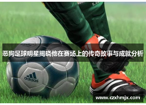 恶狗足球明星揭晓他在赛场上的传奇故事与成就分析